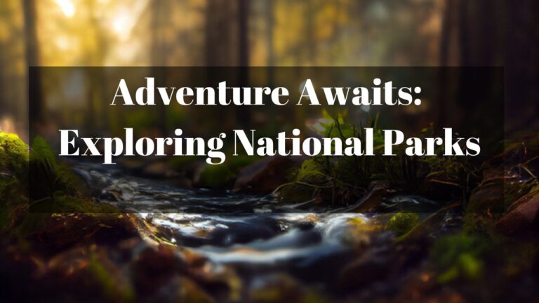 Adventure Awaits: Exploring National Parks