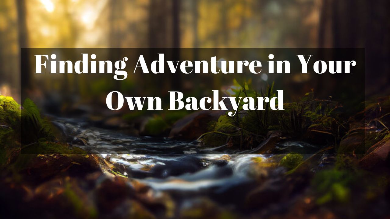 Finding Adventure in Your Own Backyard