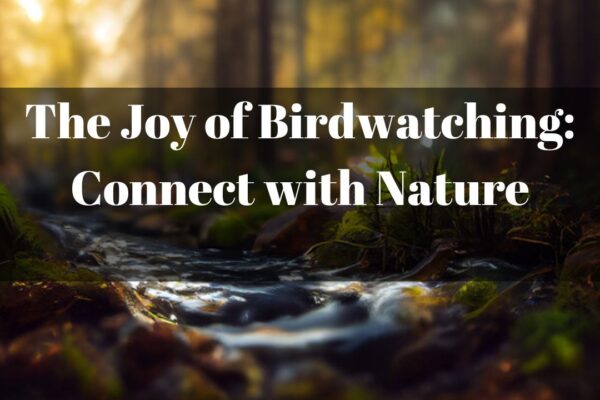 The Joy of Birdwatching: Connect with Nature