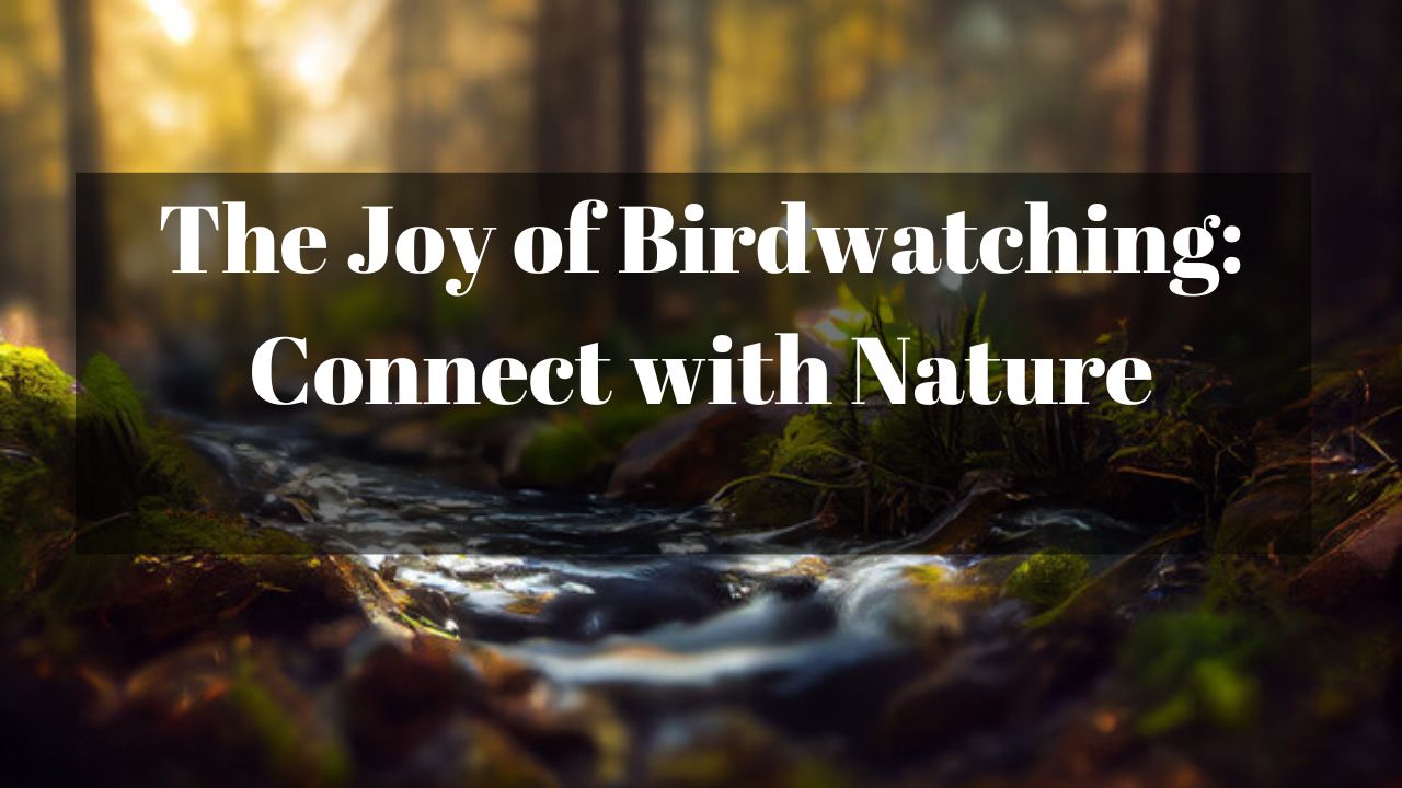The Joy of Birdwatching: Connect with Nature