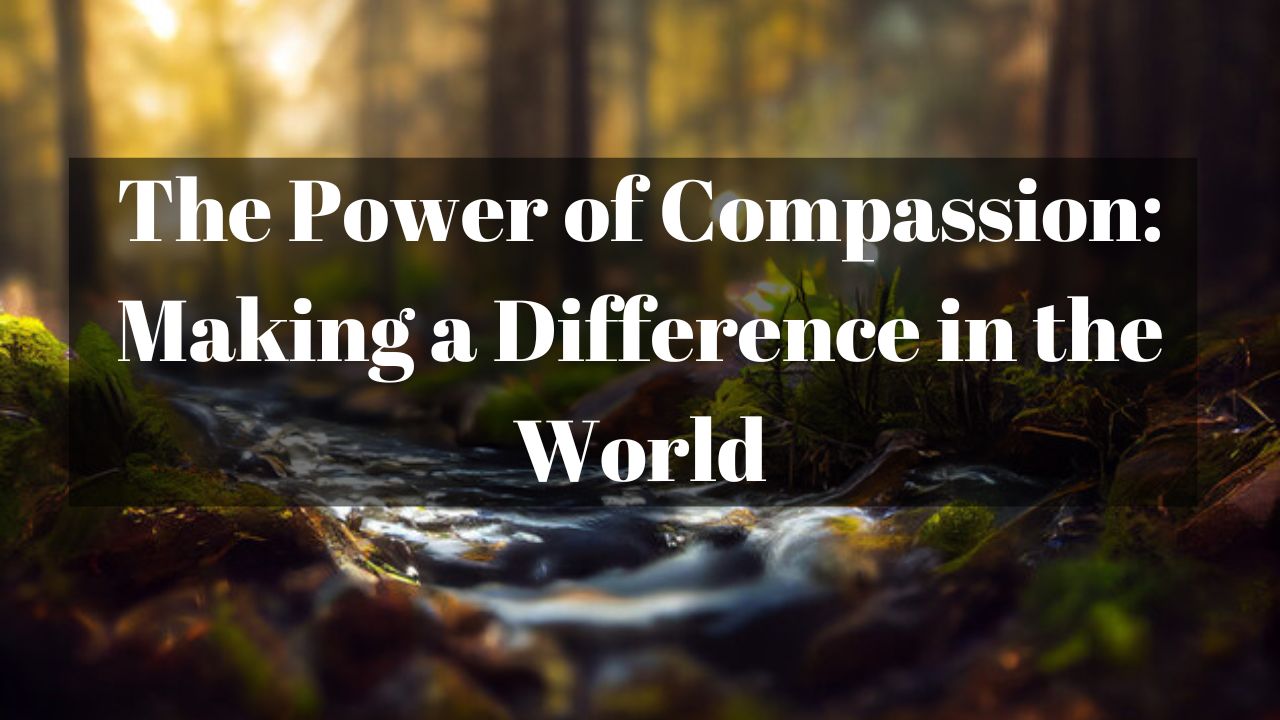 The Power of Compassion: Making a Difference in the World